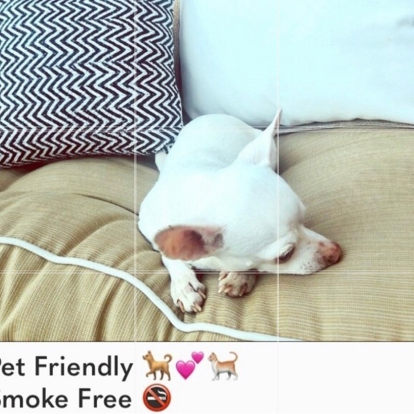 Hawaii new T-shirt - Picture 4 of 4